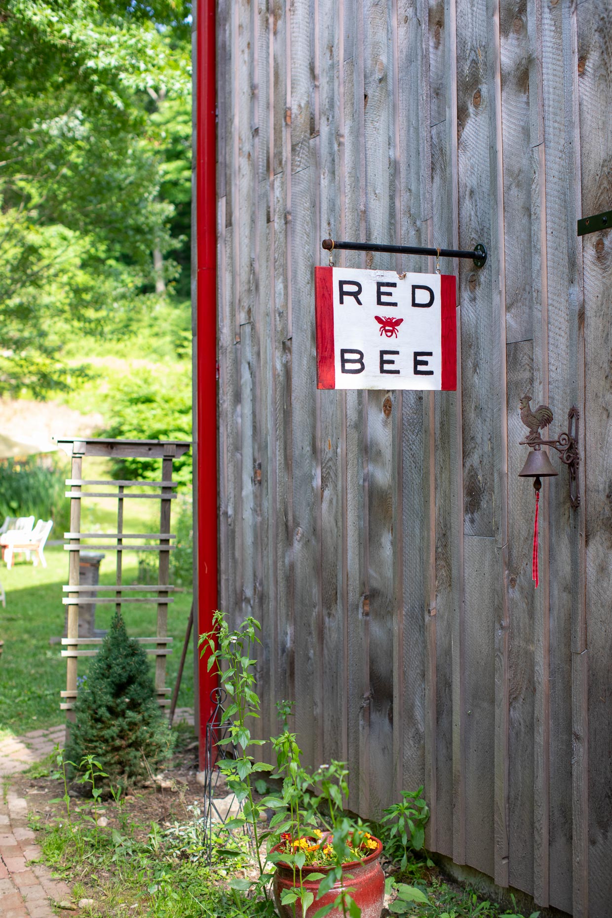 DanBigelowPhoto_RedBee-02